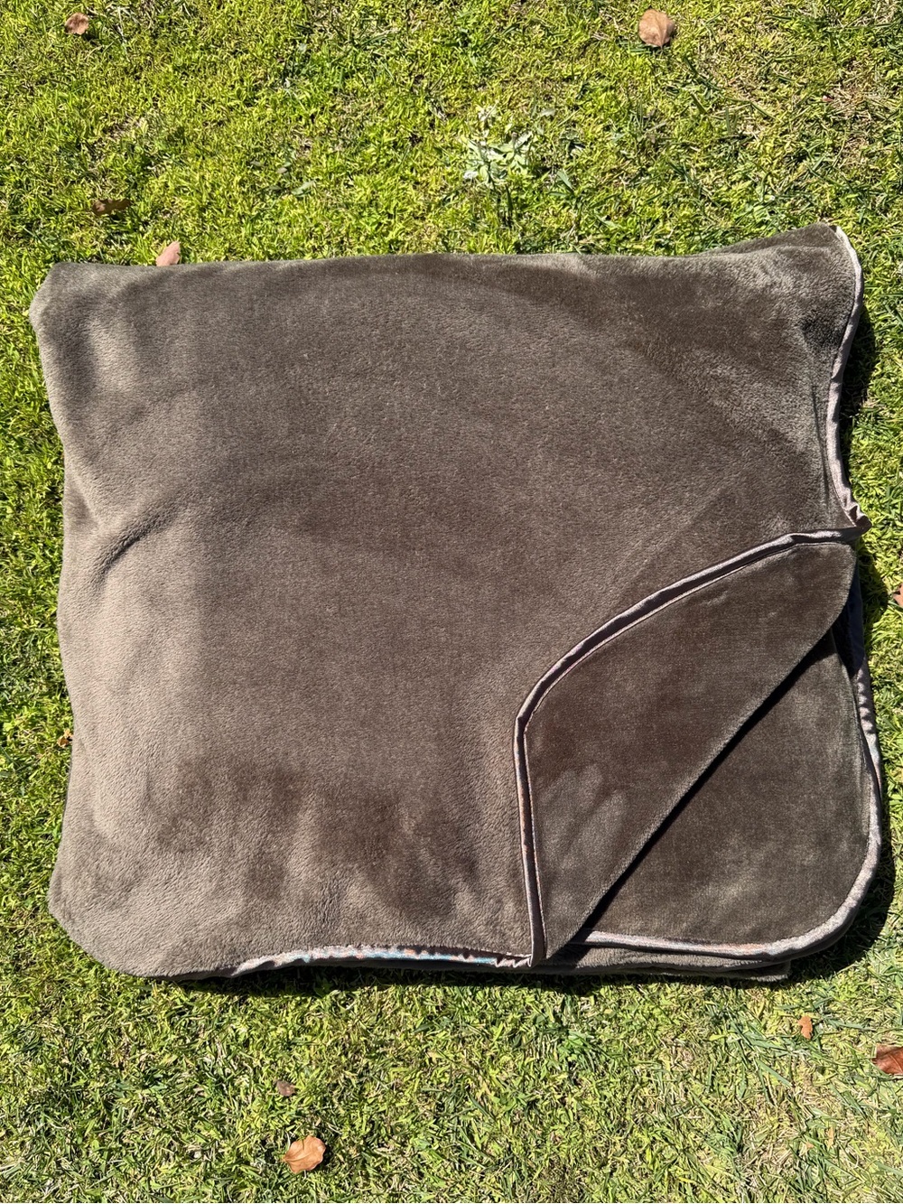Brookstone NAP Satin Trim Plush Blanket All-Season Mocha Soft Cozy Queen Nice!